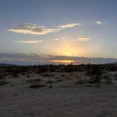 Review photo of Joshua Tree South - BLM Dispersed by Kathy B., March 20, 2026