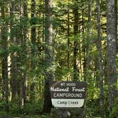 Review photo of Camp Creek by Kathy B., March 20, 2026