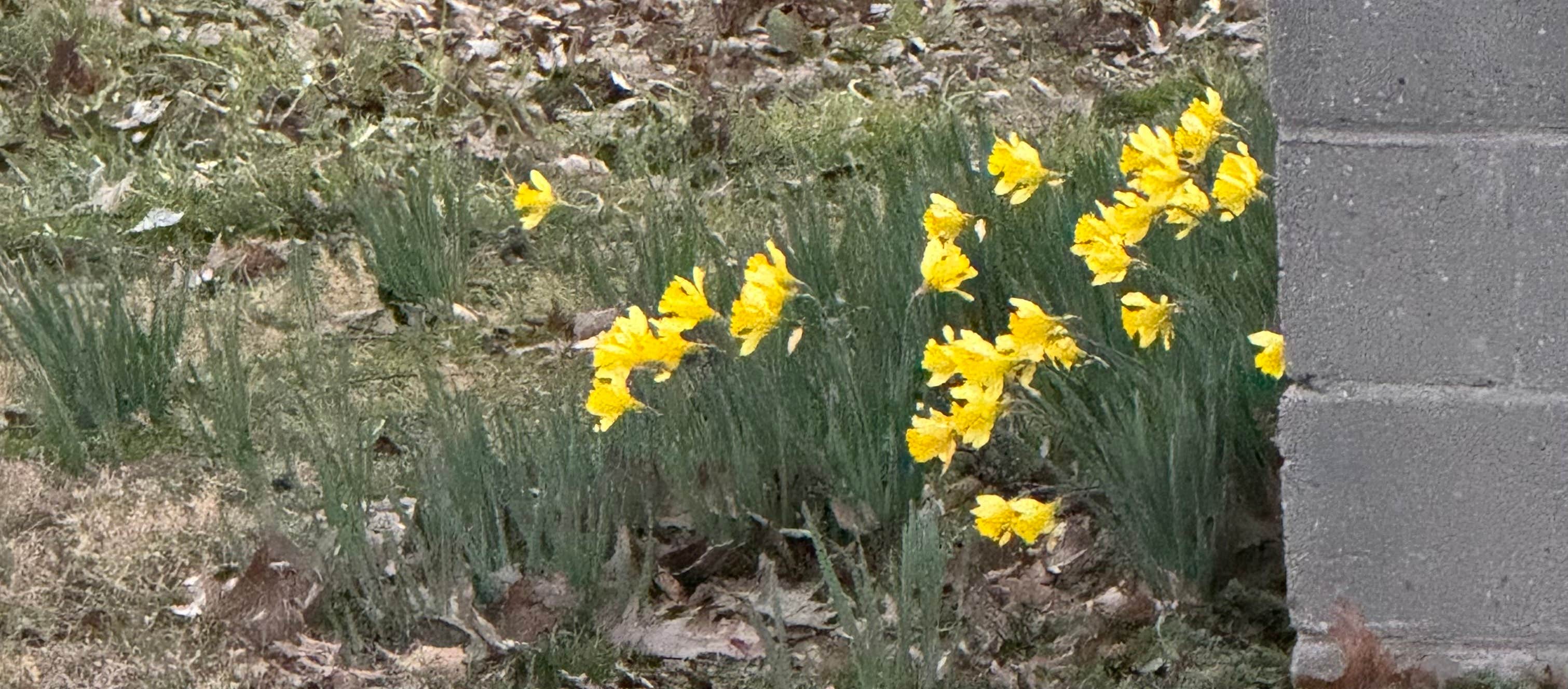 Camper-submitted photo at Travelers Farm RV Park near Bartlett, TN