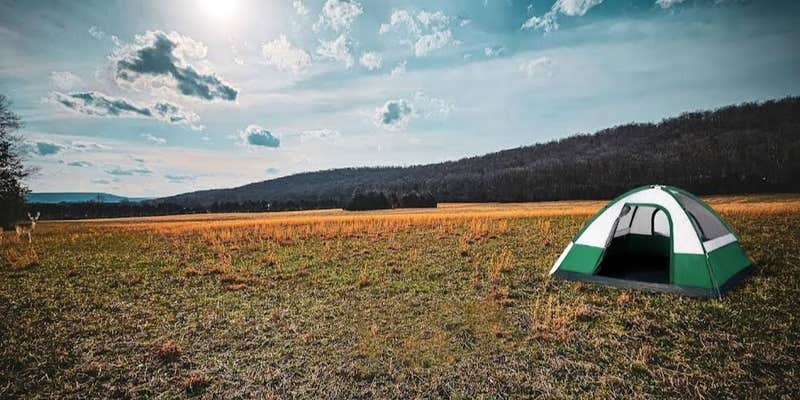 Camper submitted image from Ole Limestone Camping