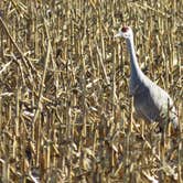 Review photo of Fort Kearny State Recreation Area by Judy B., March 21, 2026