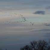 Review photo of Fort Kearny State Recreation Area by Judy B., March 21, 2026
