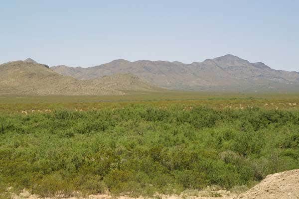 Malone Ranch - Private 20-Acre TX Desert Camping / RV • Stargazing + Total Privacy (Off-Grid)