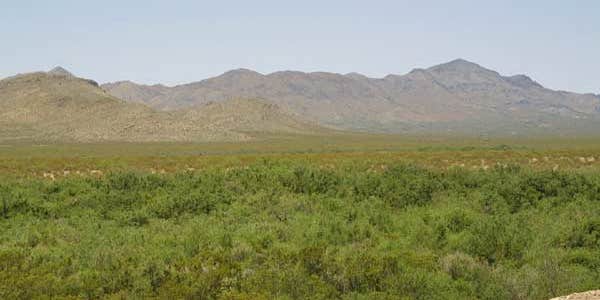 Camper submitted image from Malone Ranch - Private 20-Acre TX Desert Camping / RV • Stargazing + Total Privacy (Off-Grid)