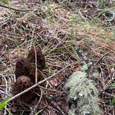 Review photo of Wallowa Lake State Park Campground by Kathy B., March 22, 2026