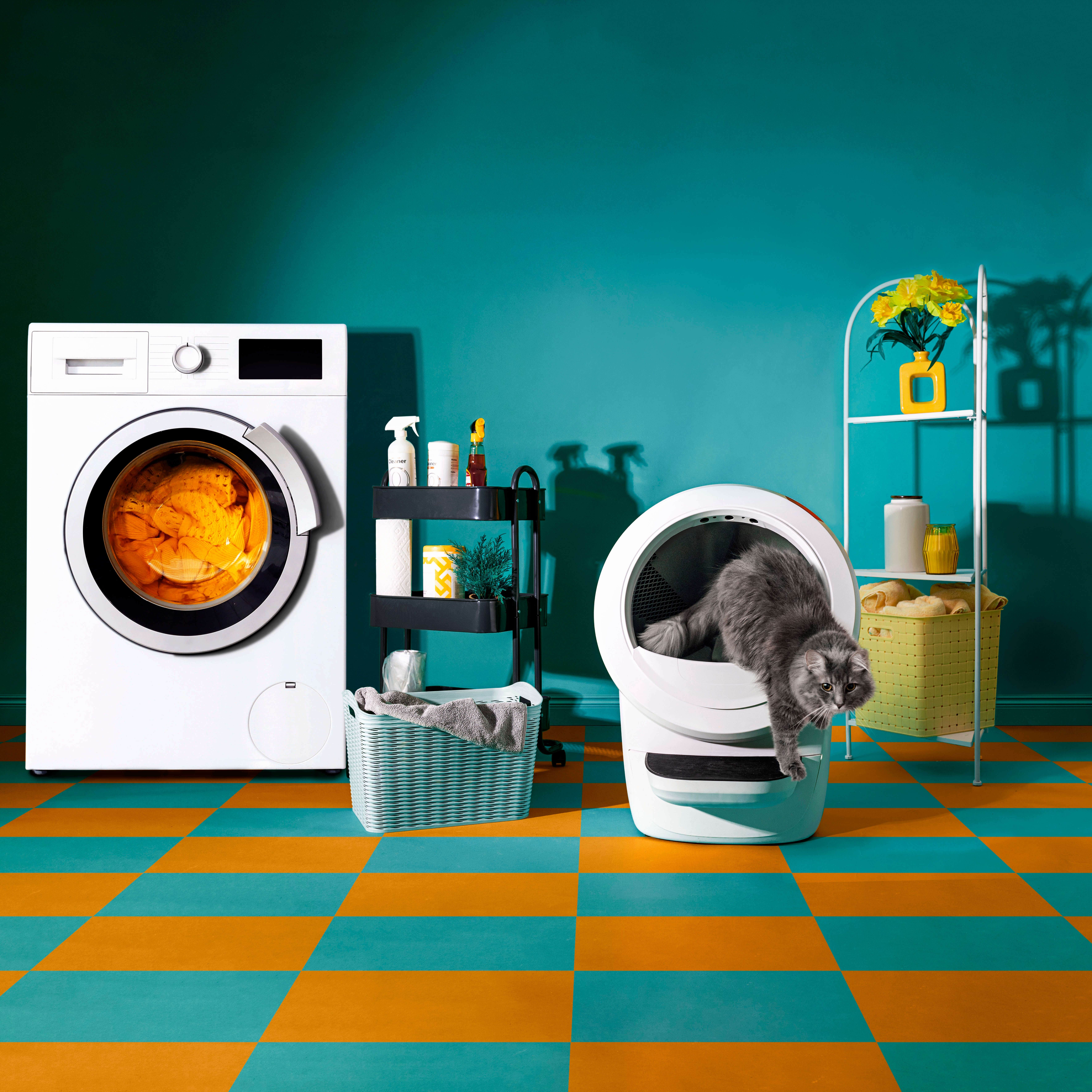 Camping near Bluegrass Campground: Little Robot, Blissfield, Michigan