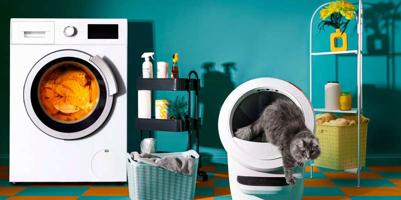 Camper submitted image from Little Robot