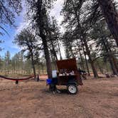 Review photo of Redskin Creek Rd Designated Campsite by Morgan V., March 24, 2026