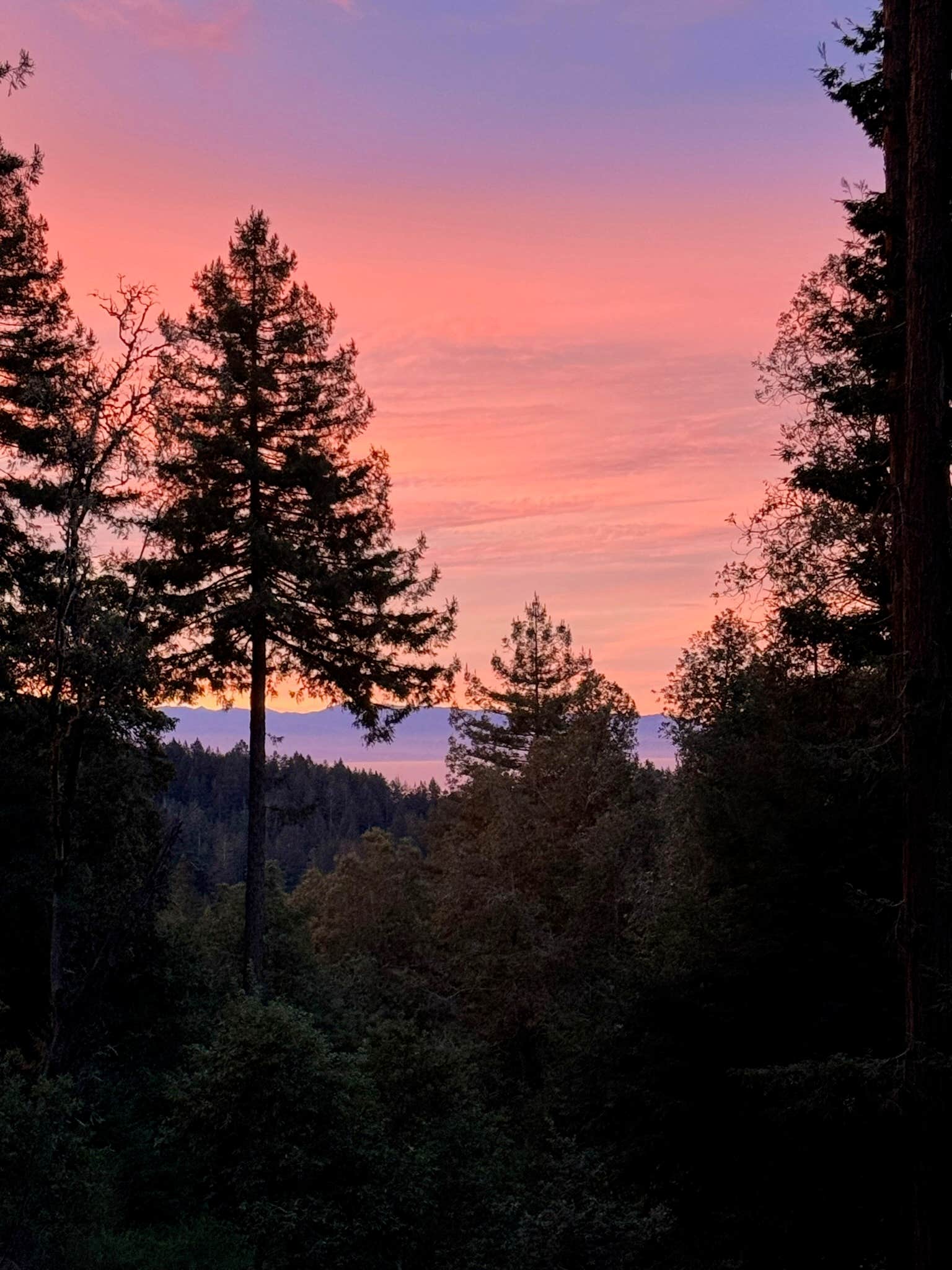 Camping near Coyote Valley Resrt & Recreational Vehicle: Secluded Redwoods & Ocean, Aptos, California