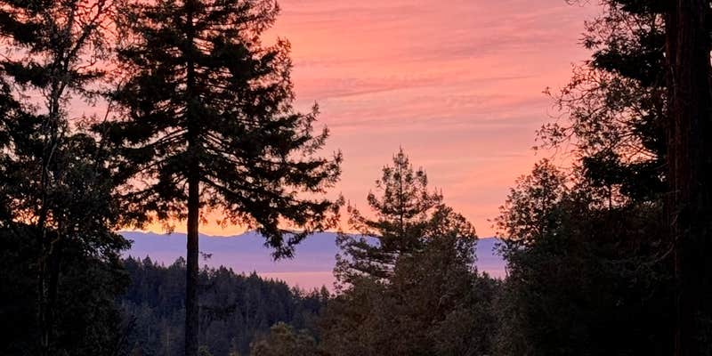 Camper submitted image from Secluded Redwoods & Ocean