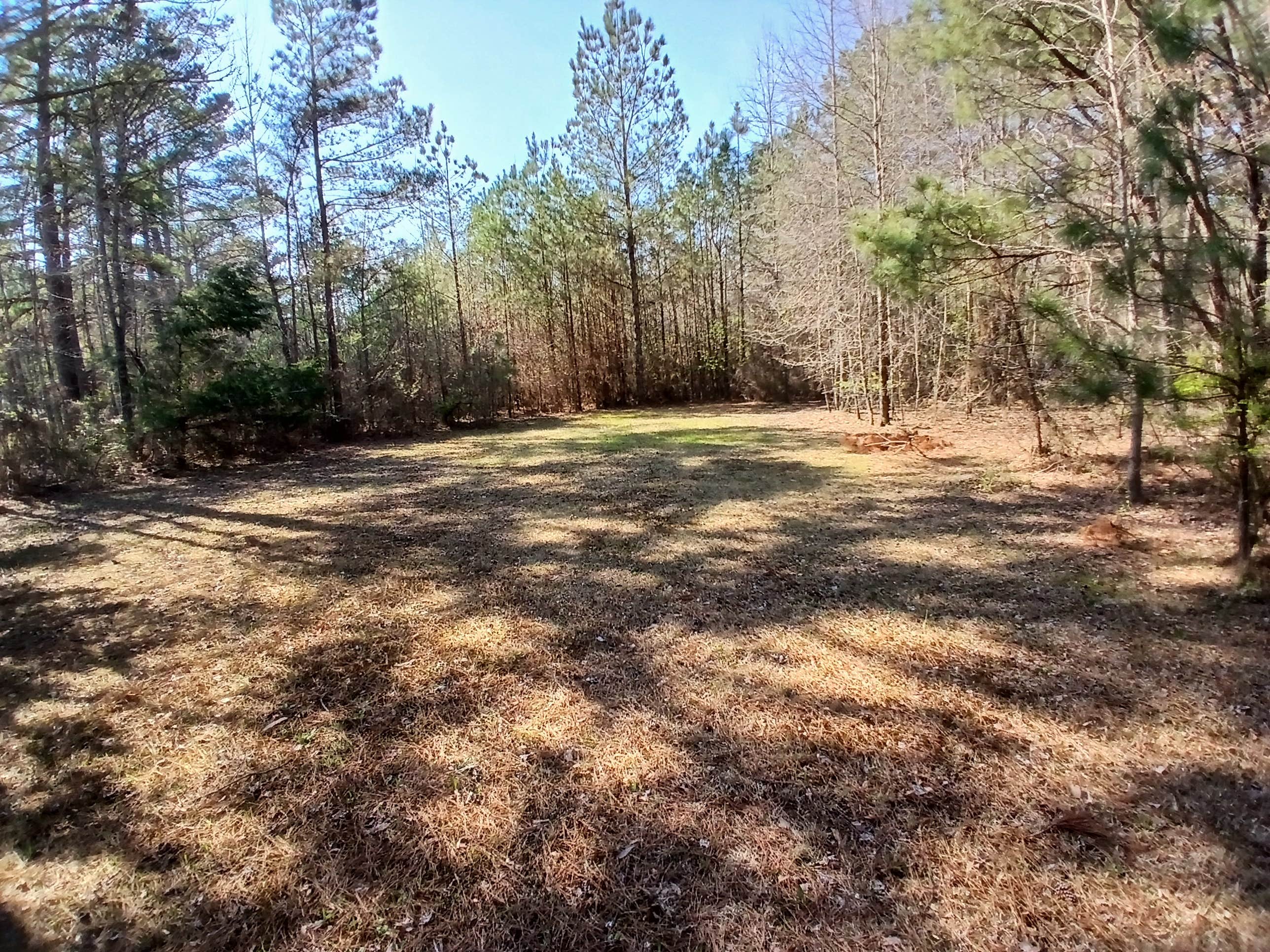 Camper-submitted photo at Open Night Sky at Longview near Louisville, MS