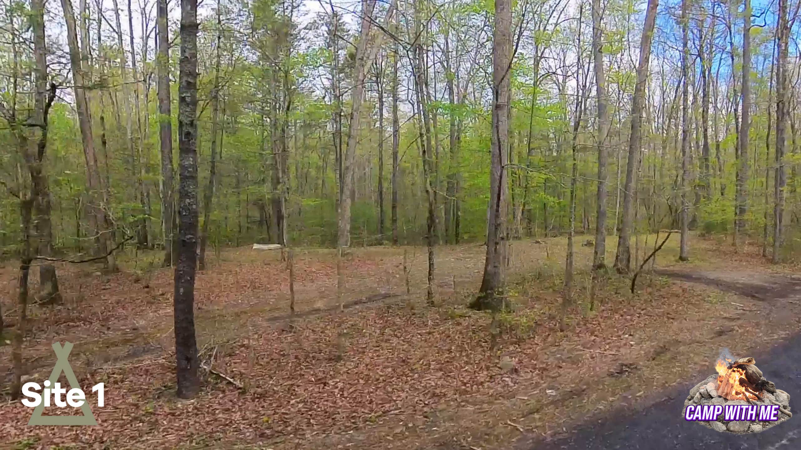 Camper-submitted photo at Wilson Creek Site 1 near Waiteville, WV