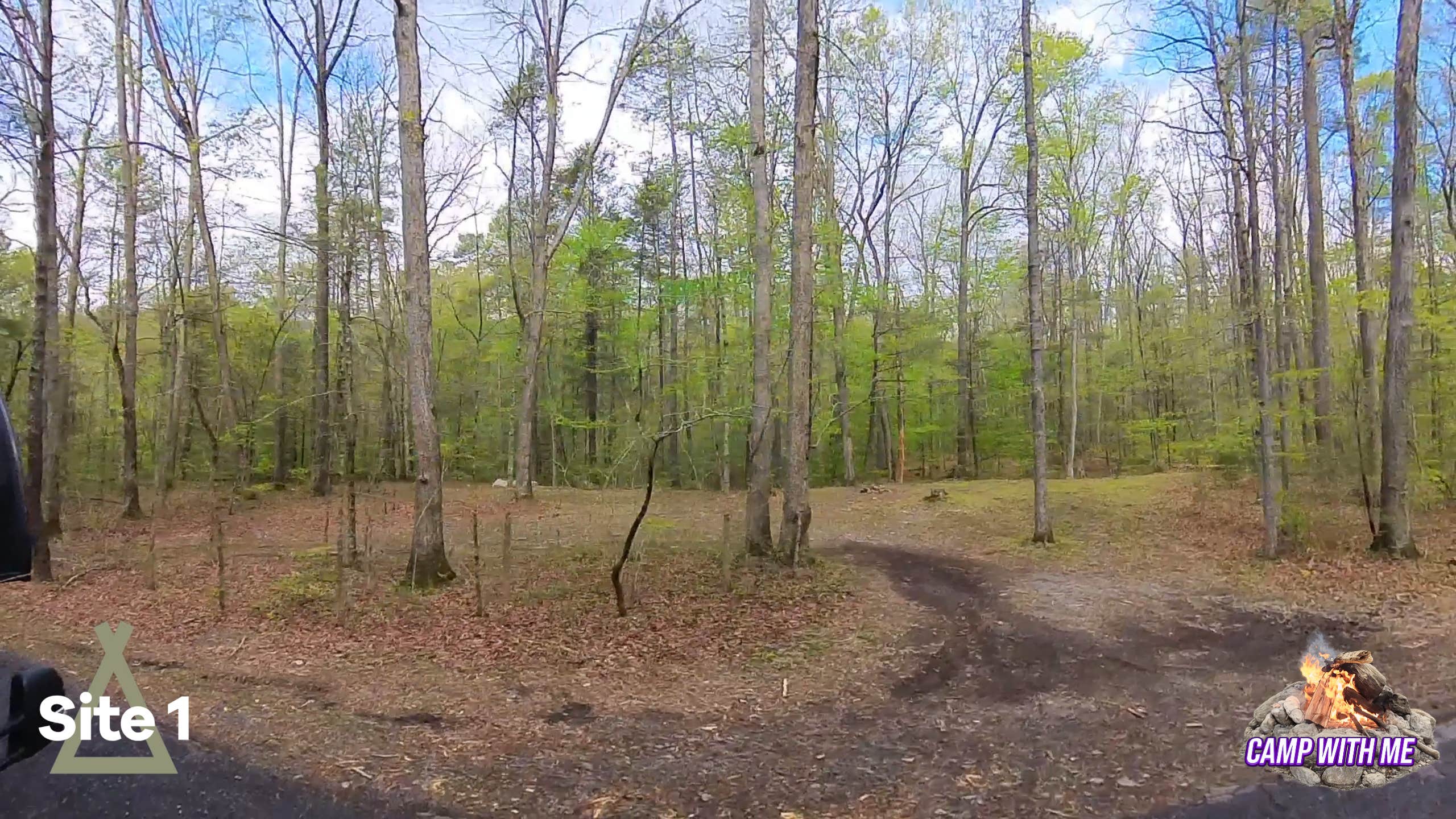 Camper-submitted photo at Wilson Creek Site 1 near Waiteville, WV