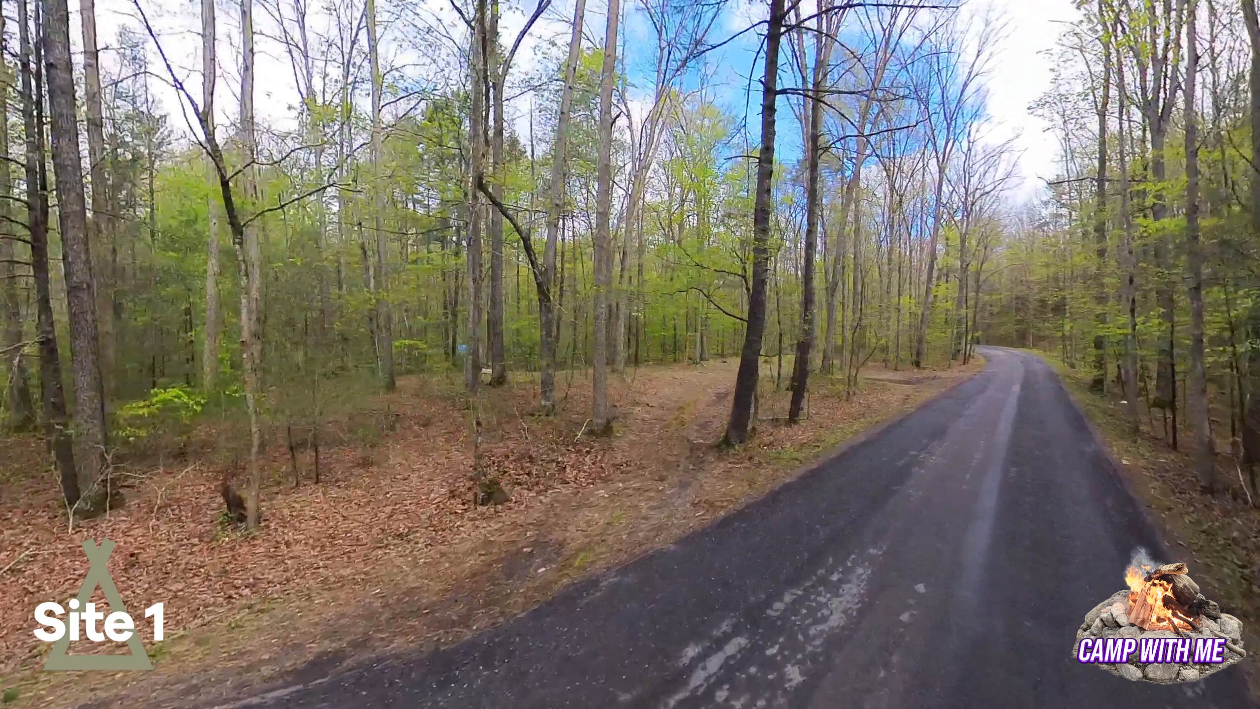 Camper-submitted photo at Wilson Creek Site 1 near Waiteville, WV