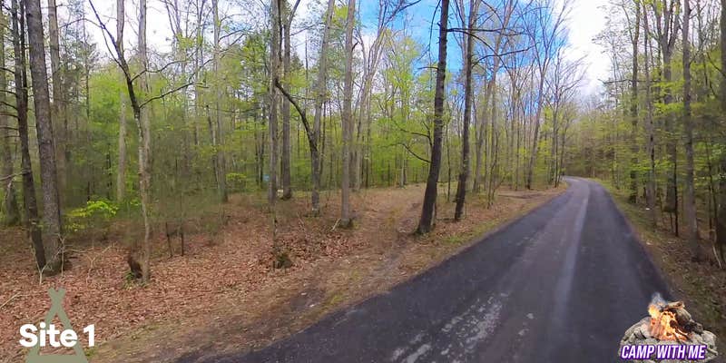 Camper submitted image from Wilson Creek Site 1