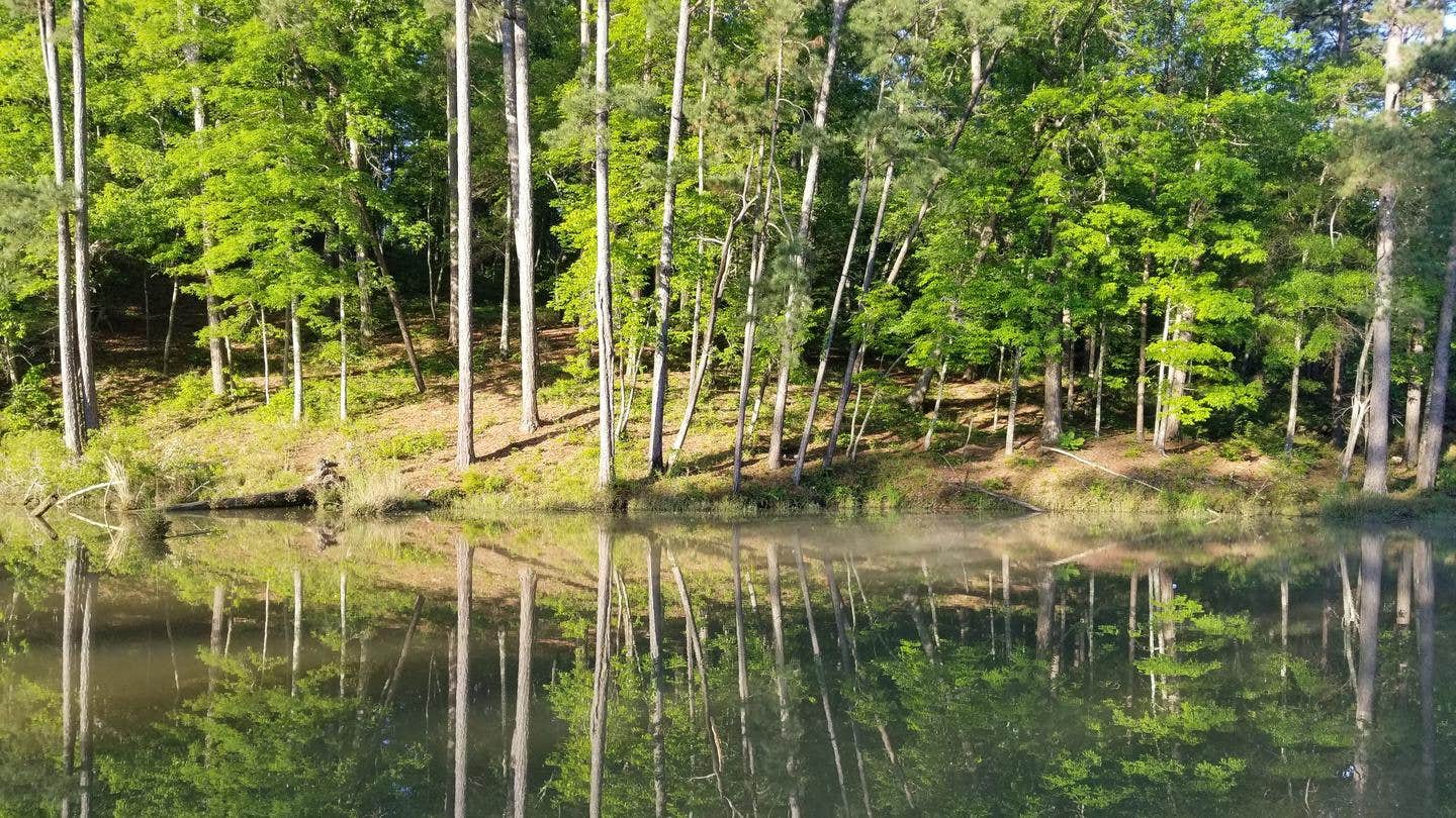 Camper-submitted photo at Clear Springs Recreation Area near McComb, MS
