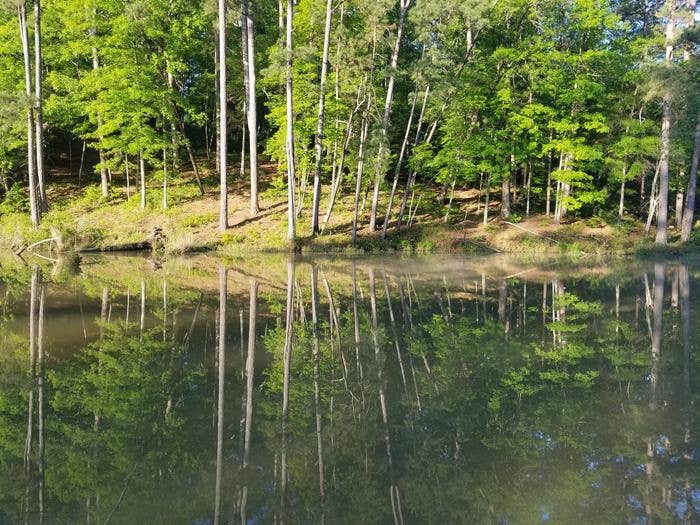 Camper-submitted photo at Clear Springs Recreation Area near McComb, MS