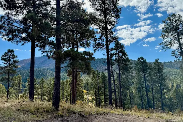 Camper-submitted photo at Mountain Pines Private RV site and Camp near White Rock, NM
