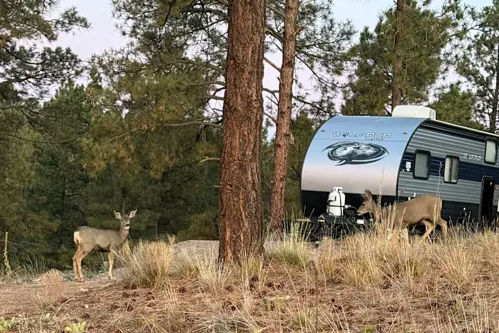 Camper-submitted photo at Mountain Pines Private RV site and Camp near White Rock, NM