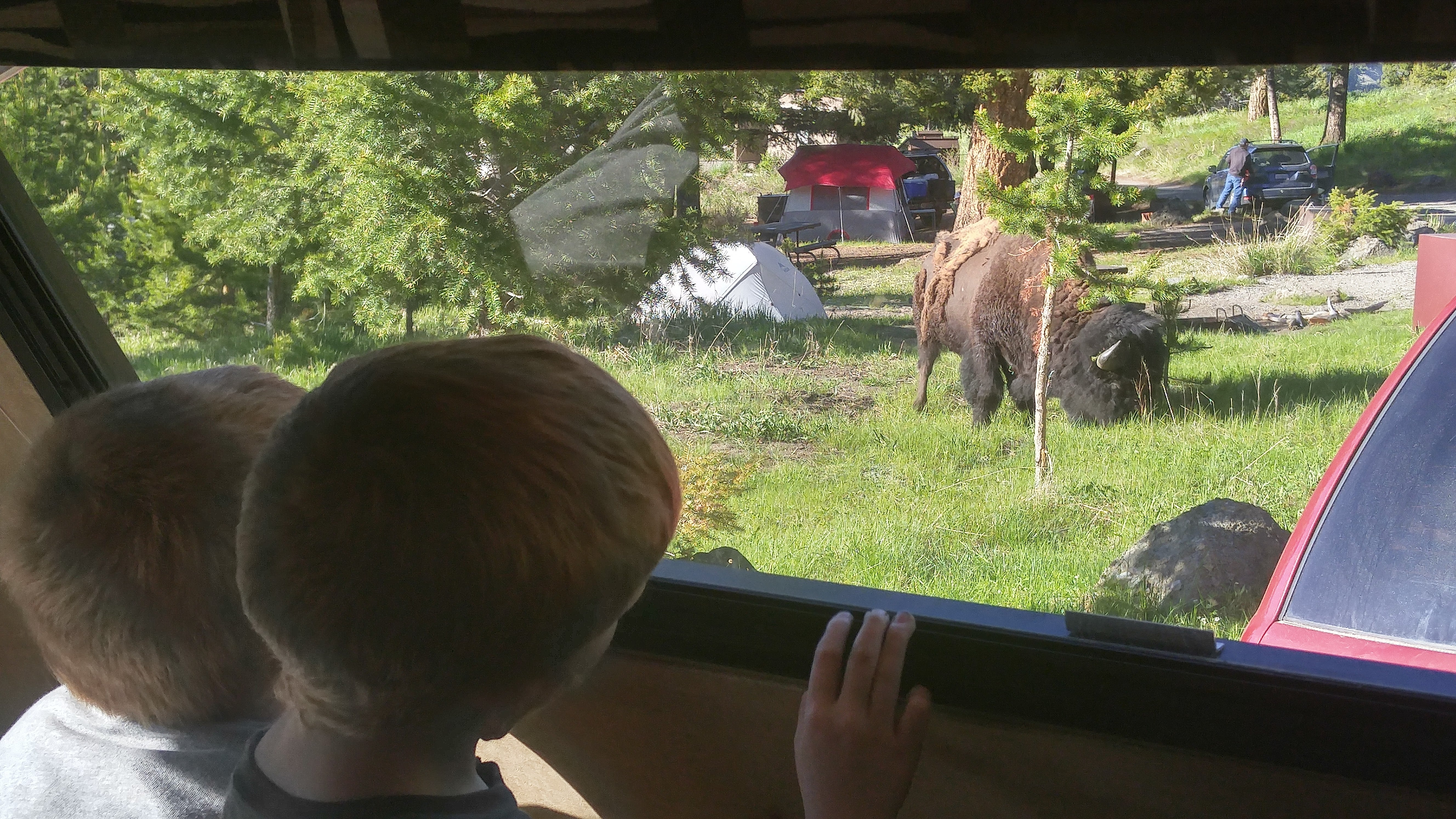 Camper submitted image from Tower Fall Campground — Yellowstone National Park - 3
