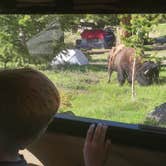 Review photo of Tower Fall Campground — Yellowstone National Park by Kari T., September 29, 2016