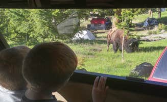 Kari T.'s photo at Tower Fall Campground — Yellowstone National Park near Yellowstone National Park