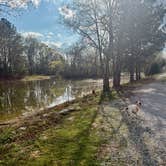 Review photo of The Backyard RV Resort by MickandKarla W., March 27, 2026