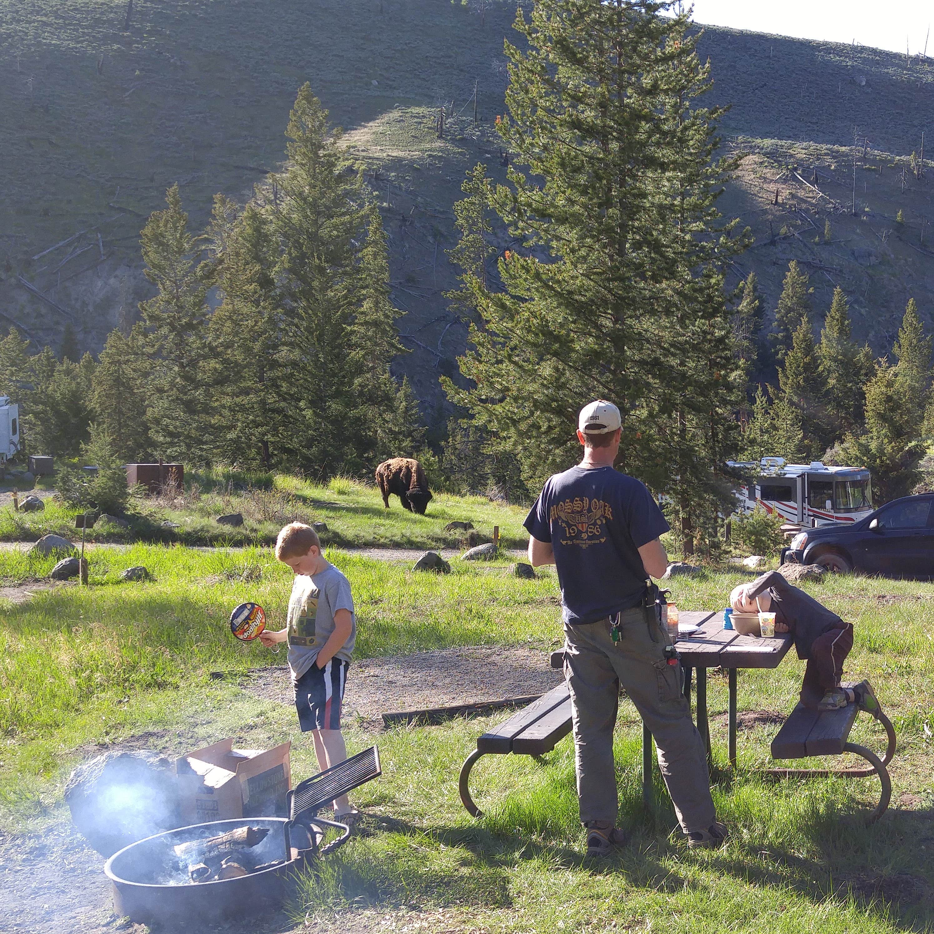 Tower Fall Campground — Yellowstone National Park