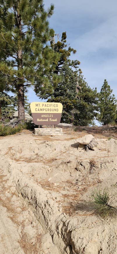 Camping near Angeles National Forest Chilao Campground: Mount Pacifico Campground, Juniper Hills, California