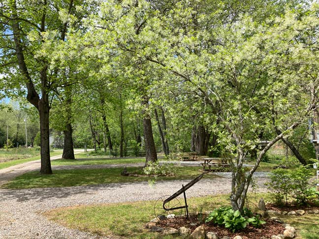 Camper-submitted photo at Peaceful Cove Campground near Franklin, NC