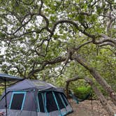 Review photo of Canyon Campground — Leo Carrillo State Park Campground by Bryan H., March 28, 2026
