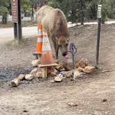 Review photo of Mather Campground — Grand Canyon National Park by Kathy B., March 29, 2026