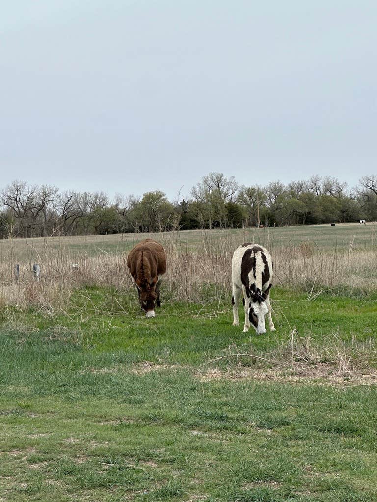 Camper-submitted photo at C2T Ranch and Campground near Hays, KS
