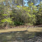 Review photo of Davis Bayou Campground — Gulf Islands National Seashore by Hope H., March 29, 2026