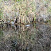 Review photo of Davis Bayou Campground — Gulf Islands National Seashore by Hope H., March 29, 2026