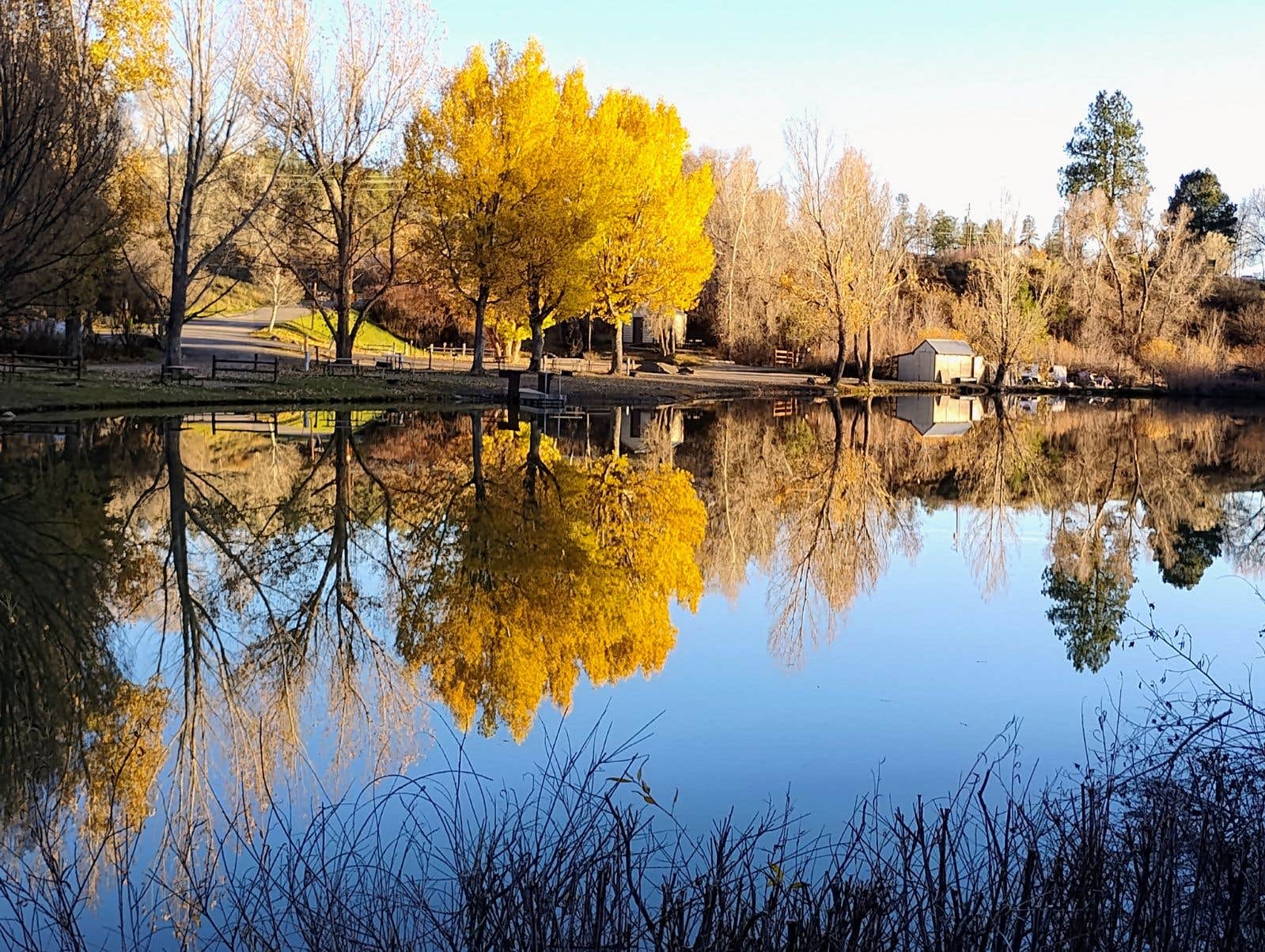 Camper-submitted photo at Pagosa Riverside Campground near Pagosa Springs, CO