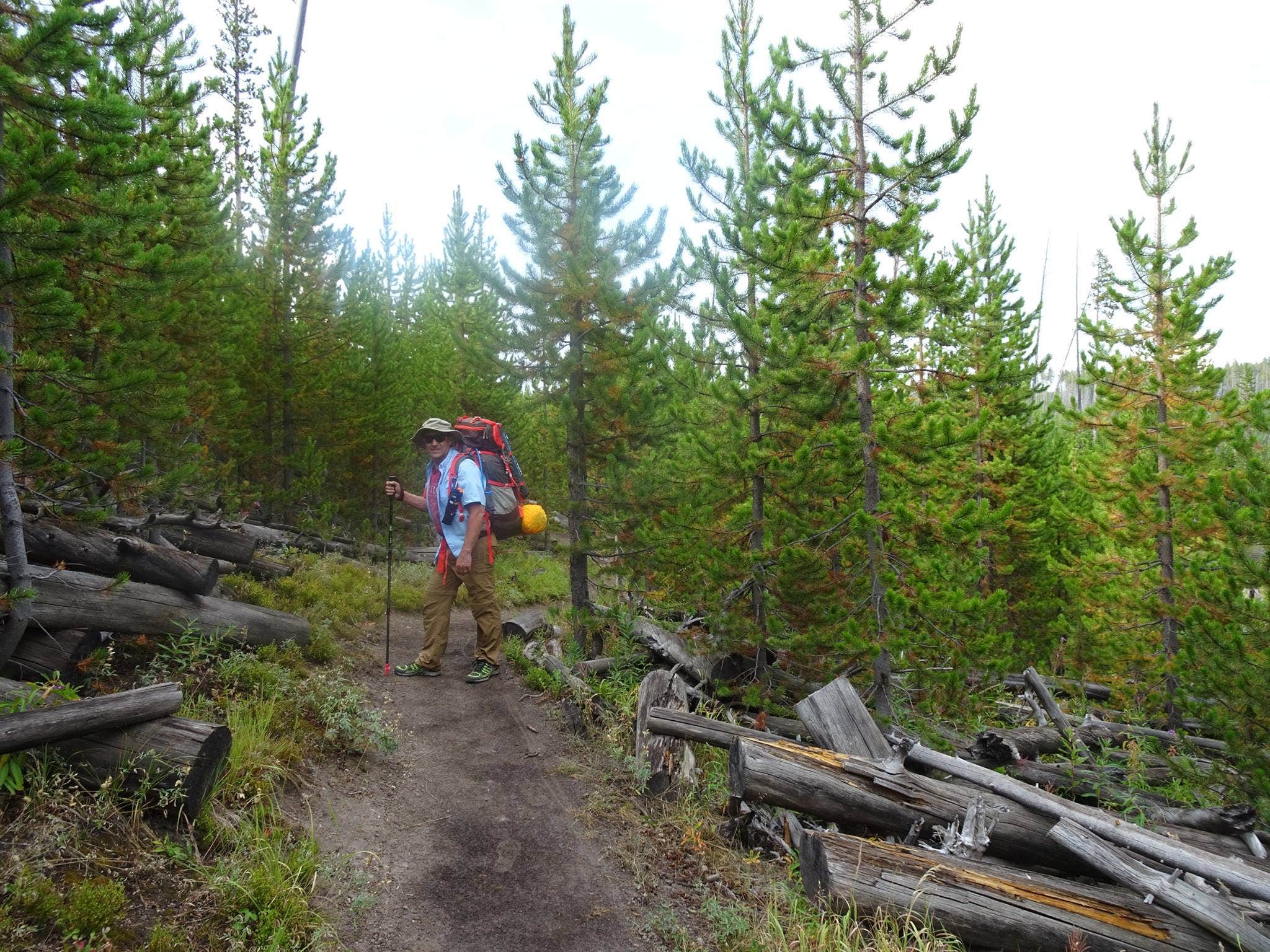 Camper submitted image from Norris Campground — Yellowstone National Park - TEMPORARILY CLOSED - 5