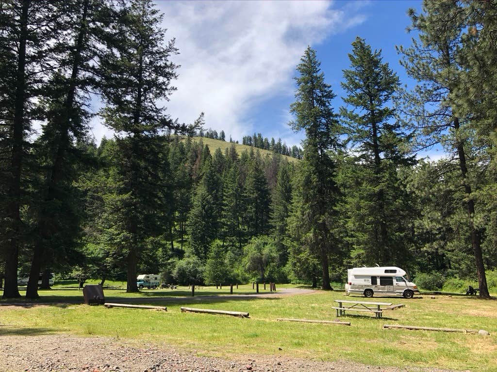 Camper-submitted photo at Lostine River near Wallowa Whitman National Forest