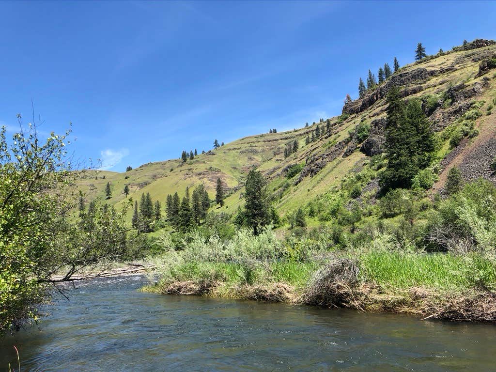 Camper-submitted photo at Lostine River near Wallowa Whitman National Forest