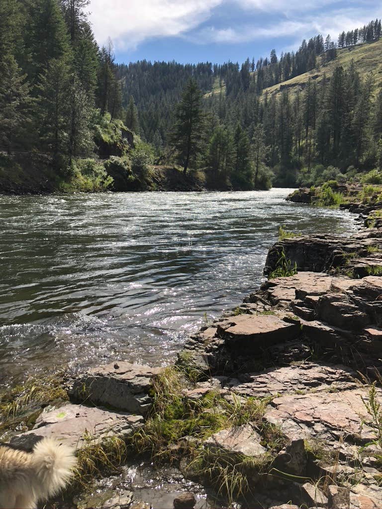 Camper-submitted photo at Lostine River near Wallowa Whitman National Forest