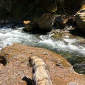 Review photo of Salmon Creek Falls Campground by Kathy B., March 30, 2026