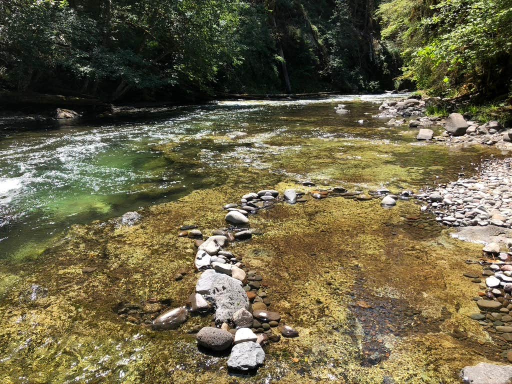 Camper-submitted photo at Salmon Creek Falls Campground near Oakridge, OR