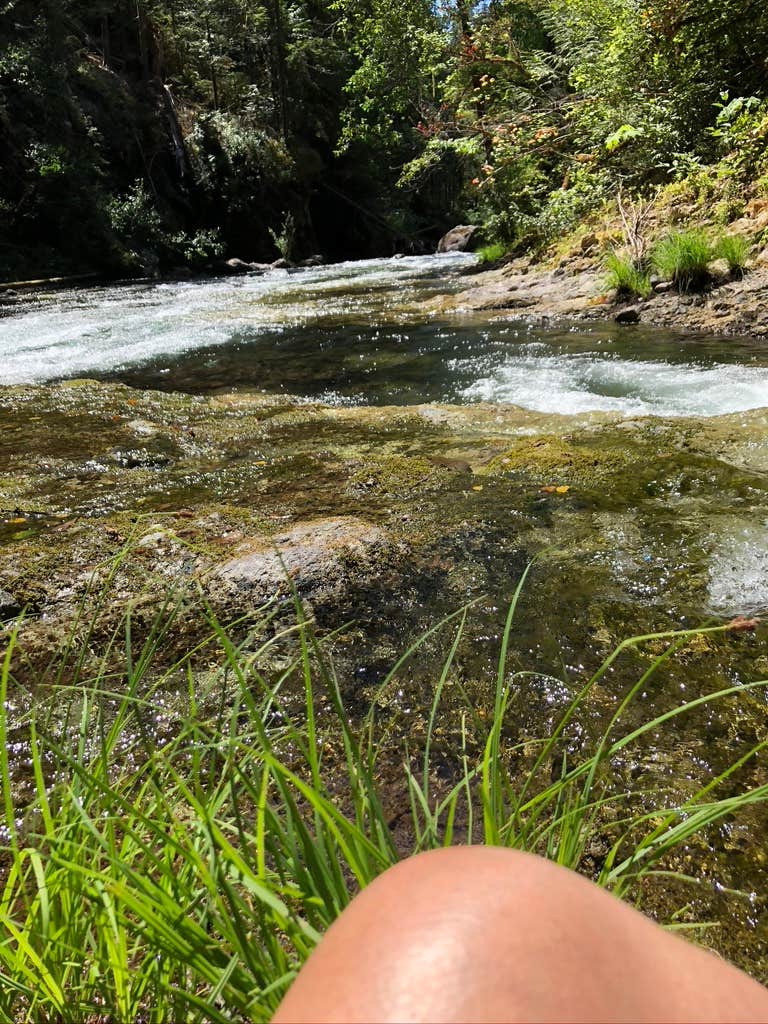 Camper-submitted photo at Salmon Creek Falls Campground near Oakridge, OR