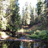 Review photo of Round Lake State Park Campground by Kathy B., March 30, 2026