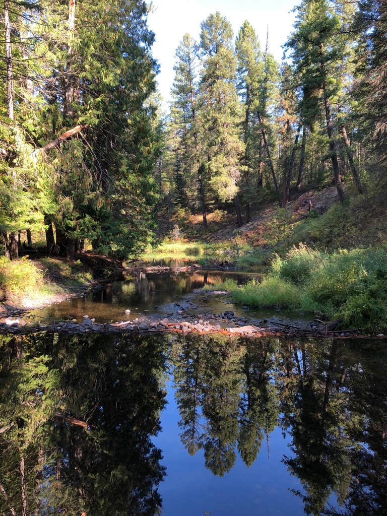Camper-submitted photo at Round Lake State Park Campground near Dover, ID