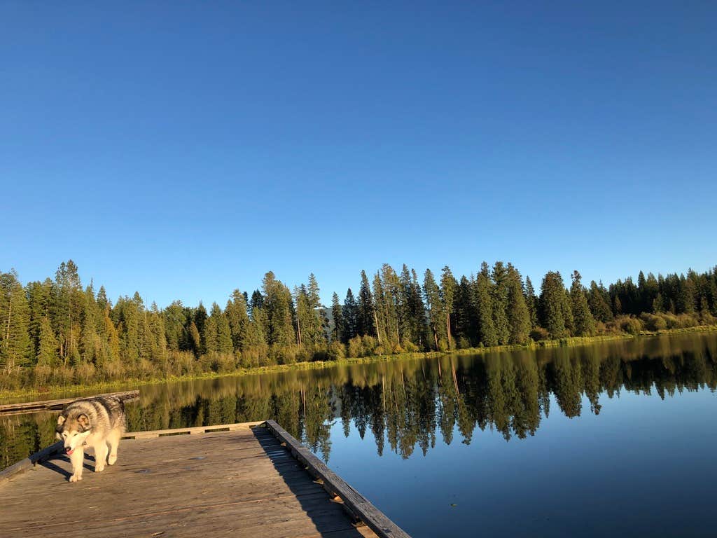 Camper-submitted photo at Round Lake State Park Campground near Dover, ID