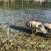 Review photo of Lionhead Campground — Priest Lake State Park by Kathy B., March 30, 2026