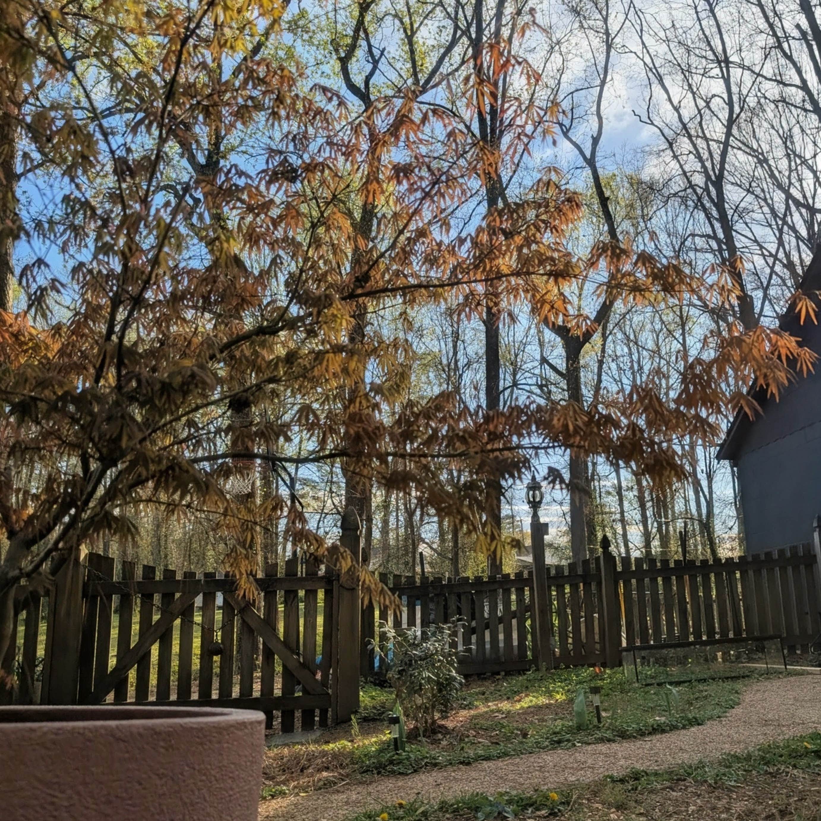 Camper-submitted photo at Moonspell Garden near Mechanicsville, VA