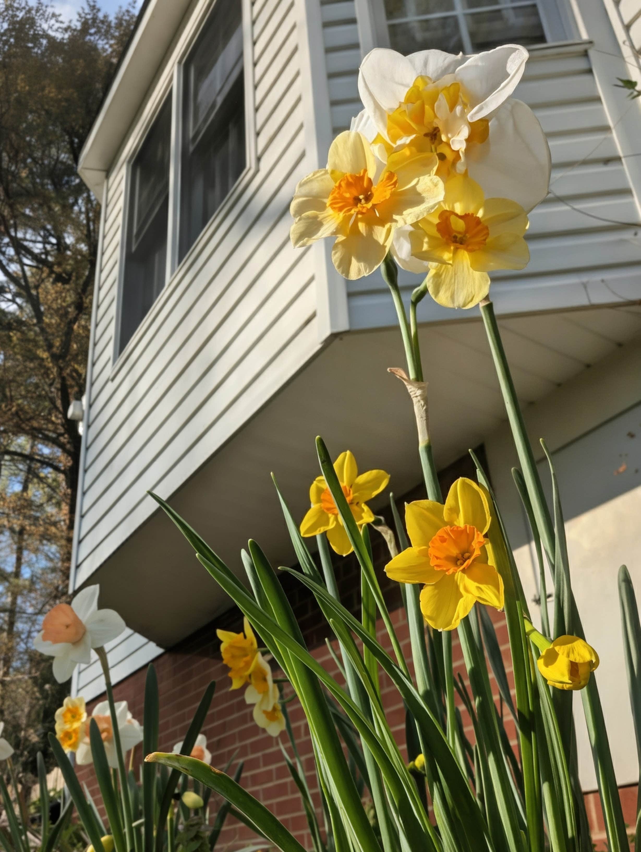 Camper-submitted photo at Moonspell Garden near Mechanicsville, VA