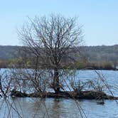 Review photo of Kayak Starved Rock Campground by Stuart K., March 30, 2026